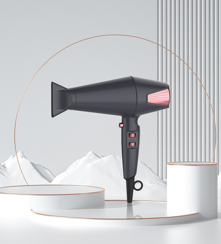 JL-A1008 AC motor hair dryer